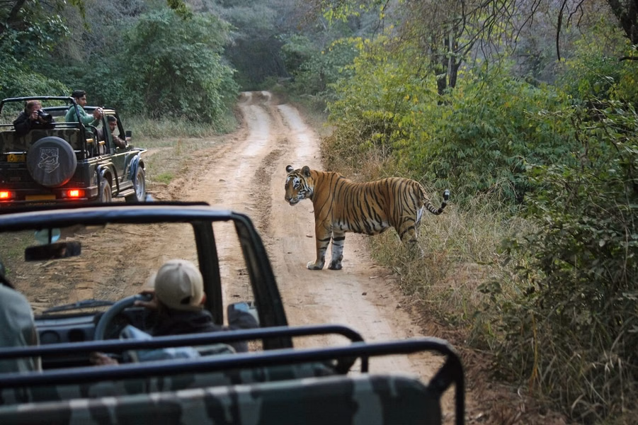 sariska safari booking